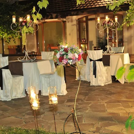 Troyanda Karpat Karpaty