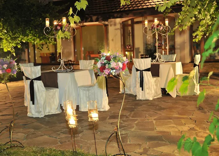Troyanda Karpat קארפאטי