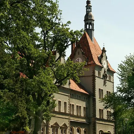 Troyanda Karpat Karpaty