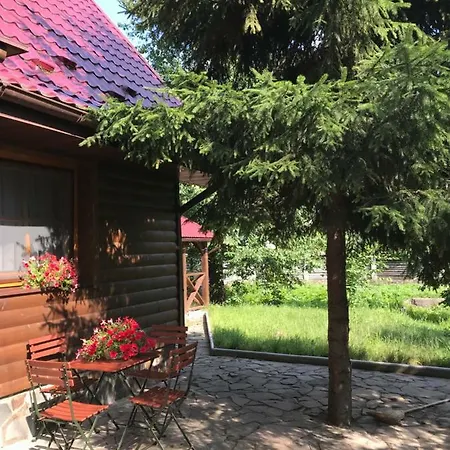 Troyanda Karpat