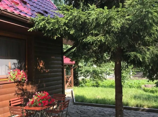 Troyanda Karpat
